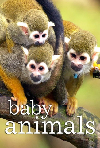 Tierbabys (2015)