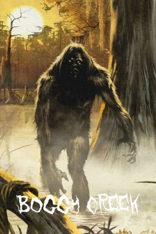 Boggy Creek - Das Bigfoot Massaker (2010)