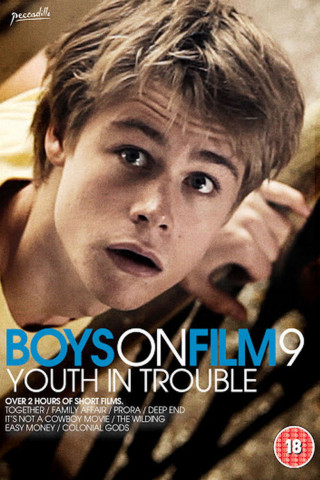 Boys on Film 9: Youth in Trouble (2013)