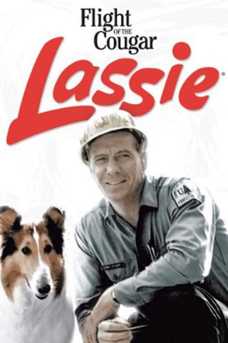 Lassie geht eigene Wege (1967)