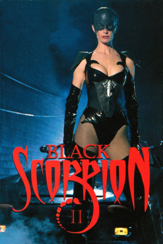 Black Scorpion II: Street Combat (1997)