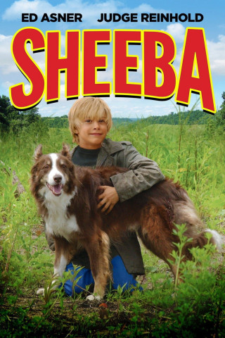 Cooper 2 - Der Hundeengel ist zurück! (2005)