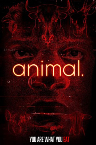 Animal (2014)