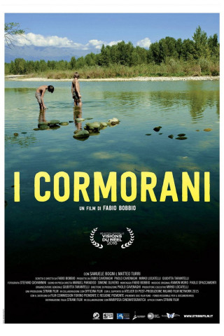 I cormorani - Sommer einer Freundschaft (2016)