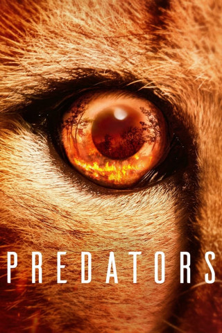 Predators - Jäger in Gefahr (2022)
