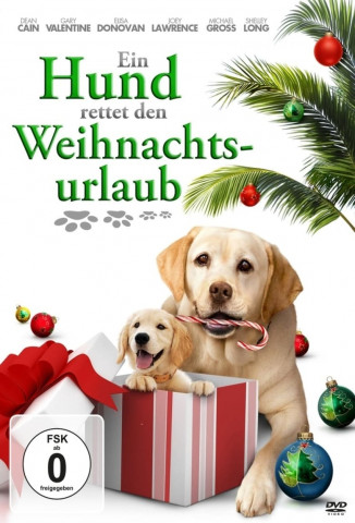 Ein Hund rettet den Weihnachtsurlaub (2012)
