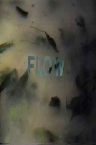 Flow (1996)