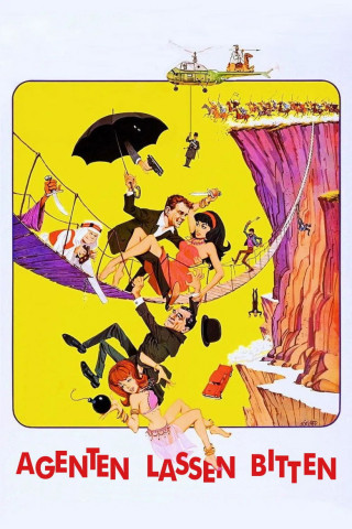 Agenten lassen bitten (1965)