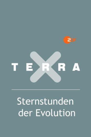 Terra X - Sternstunden der Evolution (2016)