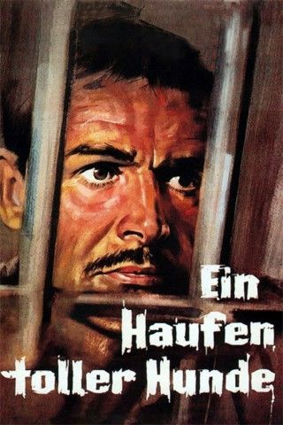 Ein Haufen toller Hunde (1965)