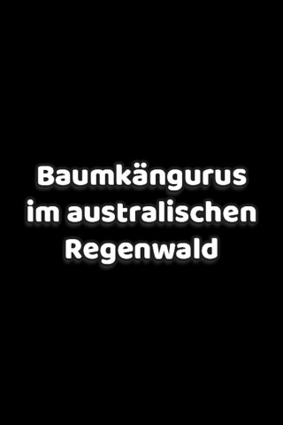 Baumkängurus im australischen Regenwald (2001)