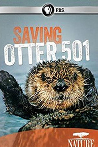 Saving Otter 501 (2013)
