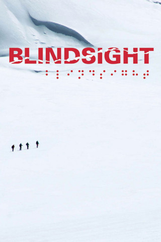 Blindsight - Vertraue deiner Vision (2006)