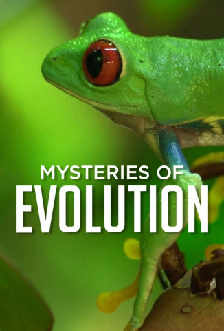 Mysteries of Evolution (2015)