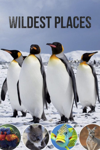 Wilde Antarktis (2019)