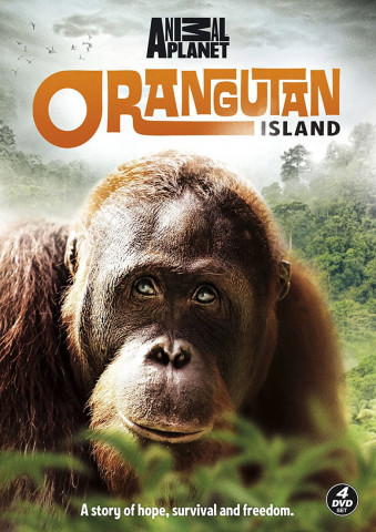 Orangutan Island (2007)