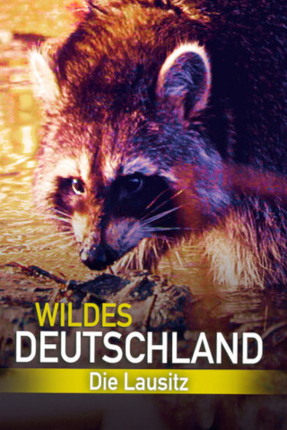 Wildes Deutschland: Die Lausitz (2013)
