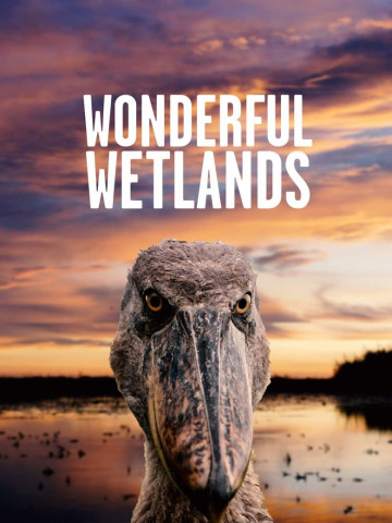 Wonderful Wetlands (2020)