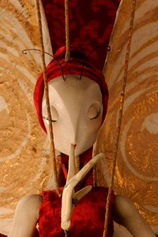 La femme papillon (2003)