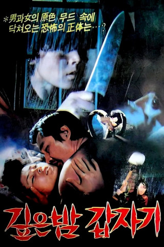 Suddenly in the Dark (1981)