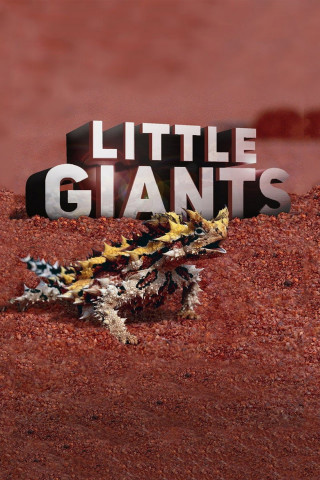 Little Giants – Kleine Tiere ganz groß (2019)