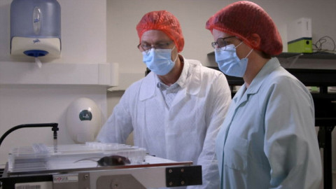 More Life Decoding the Secret of Aging (2021)