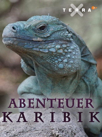 Abenteuer Karibik (2017)