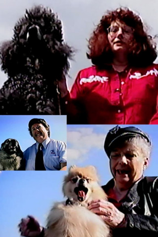 Freestyle (2004)