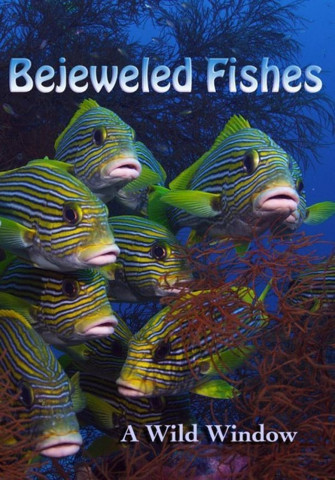 Beneath the Sea (2016)