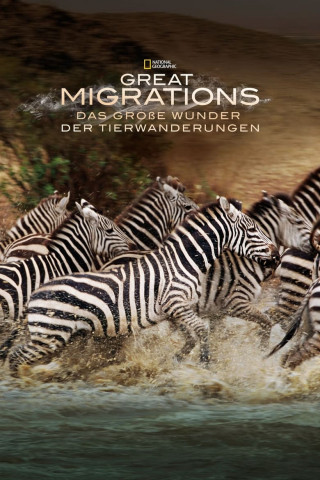 Das große Wunder der Tierwanderungen (2010)