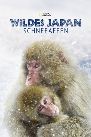 Wildes Japan: Schneeaffen (2014)