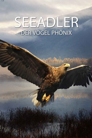 Seeadler: Der Vogel Phönix (2015)