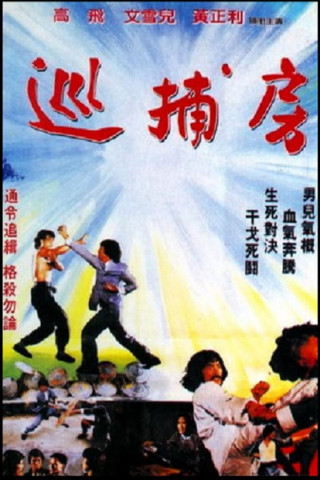 Die Rache des Kung Fu Tigers (1980)