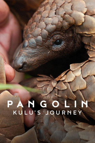 Pangolin: Kulus Weg (2025)