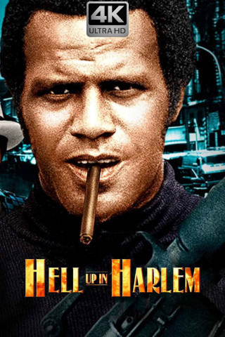 Heiße Hölle Harlem (1973)
