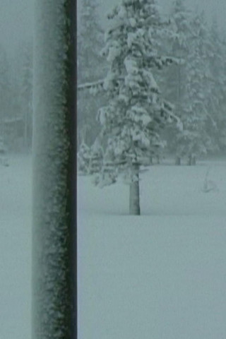 Crystal Palace (2011)