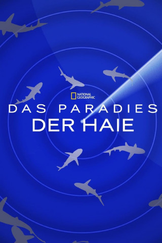 Das Paradies der Haie (2010)