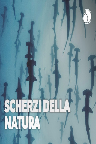 Scherzi Della Natura (2025)