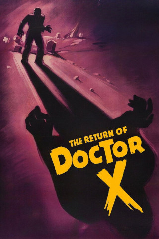 Das zweite Leben des Dr. X (1939)