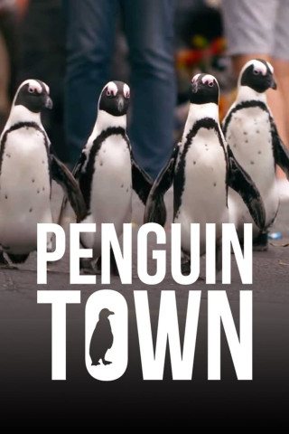 Stadt der Pinguine (2021)
