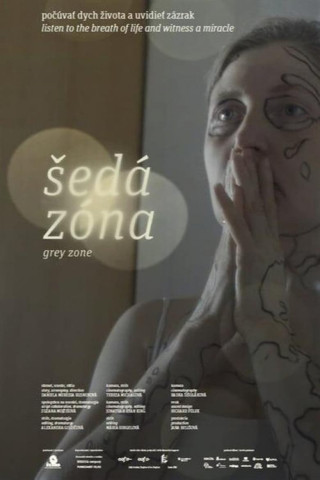 Die Grauzone (2001)