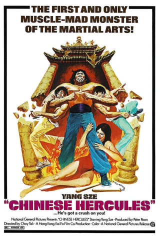 Gozakko - Seine Fäuste trommeln das Todeslied (1973)