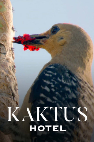 Kaktus Hotel (2023)