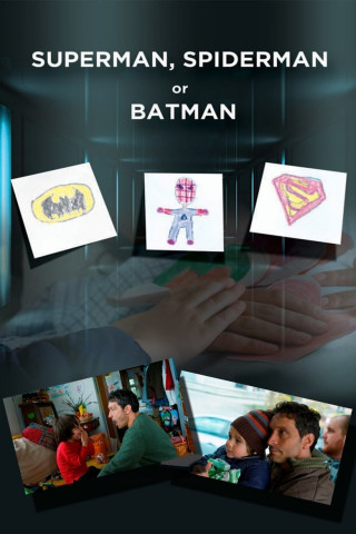 Superman, Spider-Man sau Batman (2011)