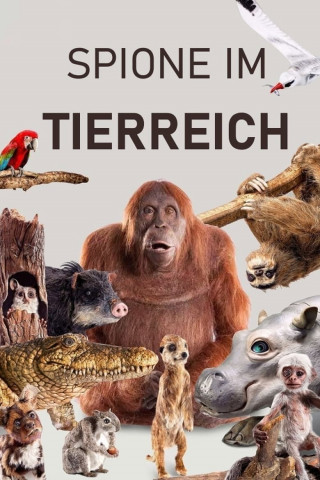 Spione im Tierreich (2017)