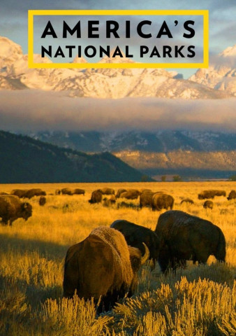 America's National Parks (2008)