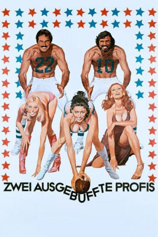 Zwei ausgebuffte Profis (1977)