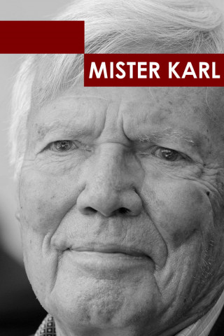Mister Karl (2008)