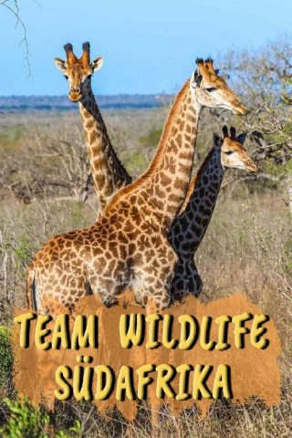Team Wildlife Südafrika (2020)