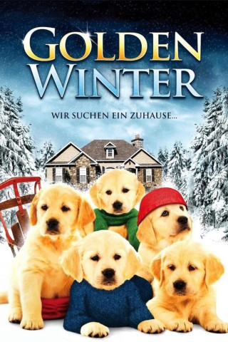 Golden Winter - Wir suchen ein Zuhause (2012)